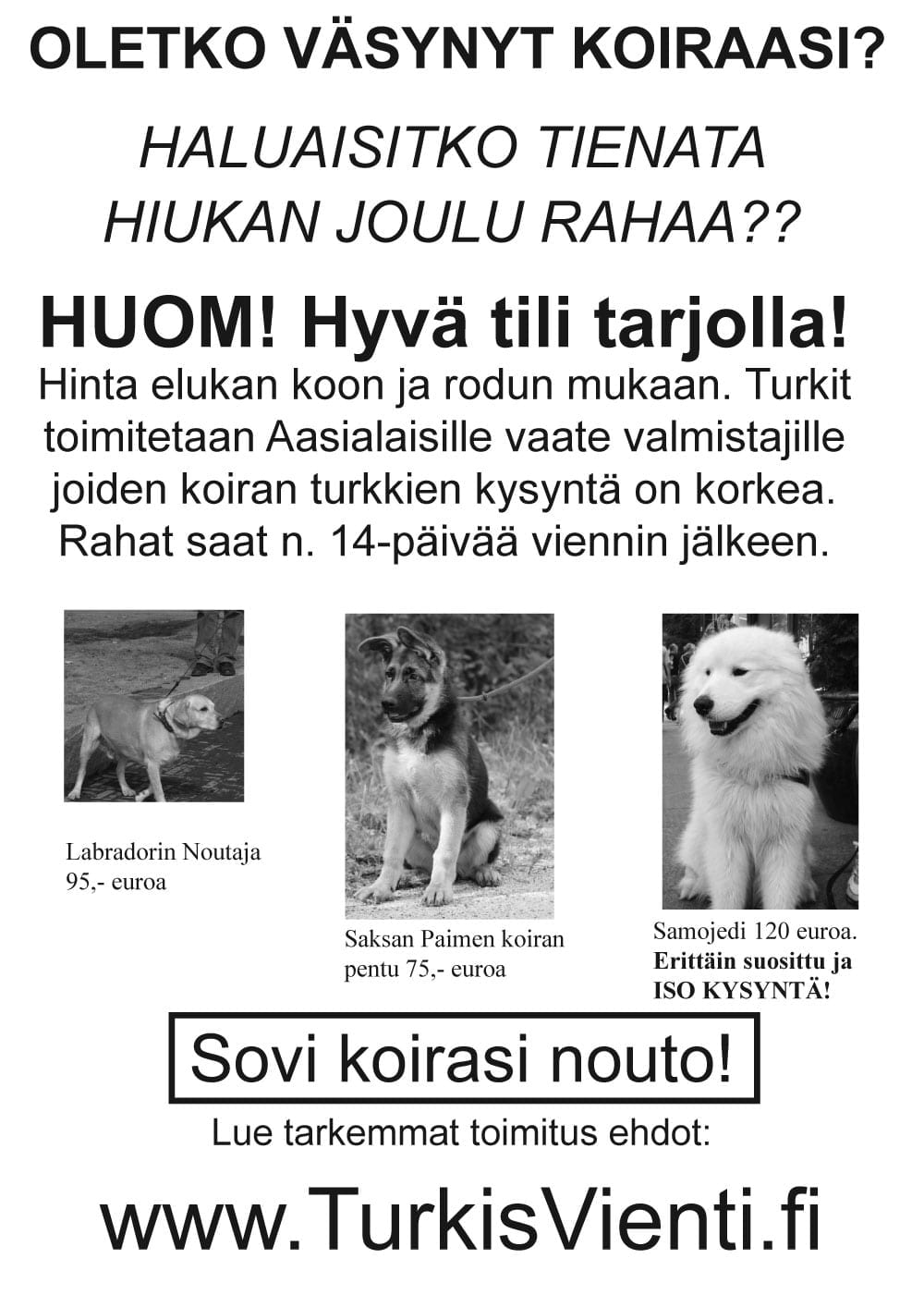 Turkiskampanja suututti koiranomistajia syksyllä 2005
